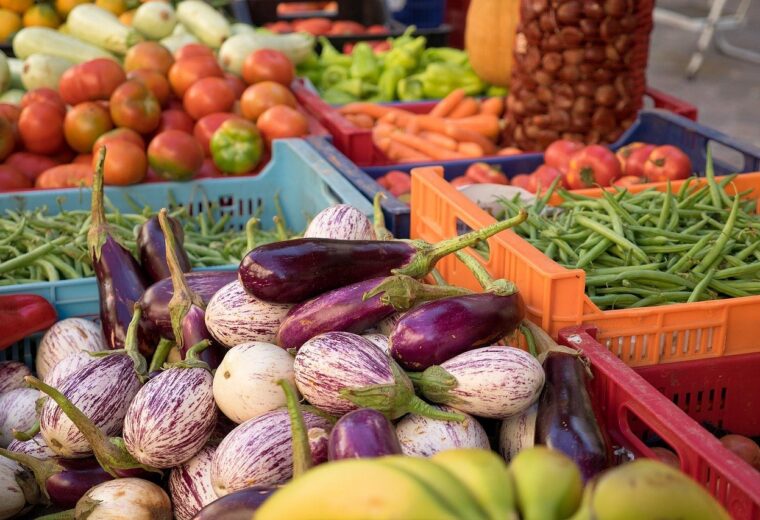 Hausse des prix des légumes à Maurice : conseils pratiques pour les ménages